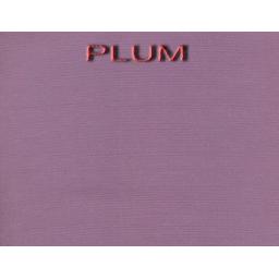 plum_f6bd521a-3504-4002-8f3d-cfdc27e4d609.jpg